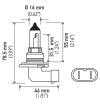 Hella 9006 12V 55W Halogen Bulb