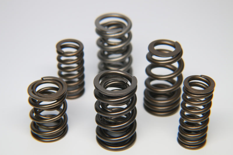 Ferrea Racing Ferrea BMW N54 Single Valve Spring - Set of 24