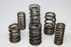 Ferrea Racing Ferrea BMW S54 Dual Valve Spring - Set of 24