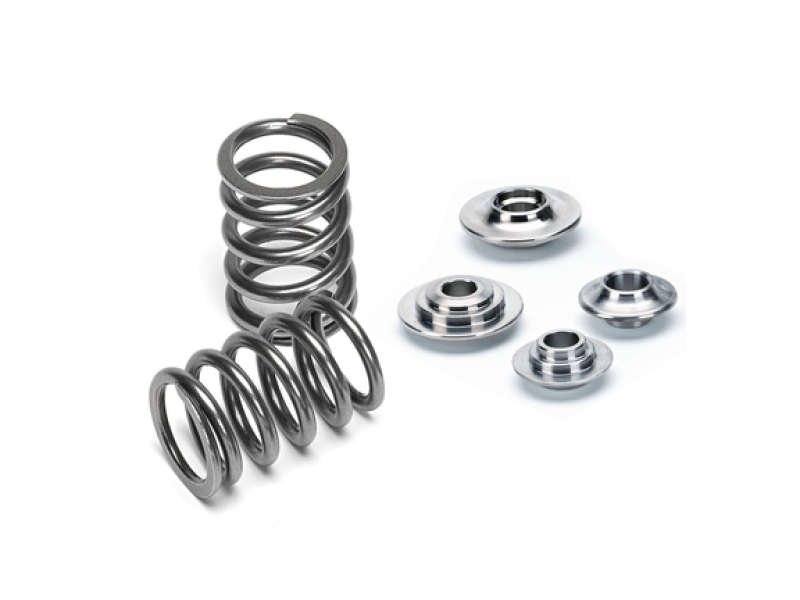 Supertech Audi V10 (40V) Single Valve Spring Kit