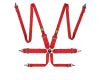 OMP Racing OMP First 3/2 Racing Harness Red