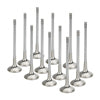 Supertech BMW N54 Inconel Exhaust Valve 28mm(std) Chrome -Set of 12 (Use w/ locks KPR-6S/7)